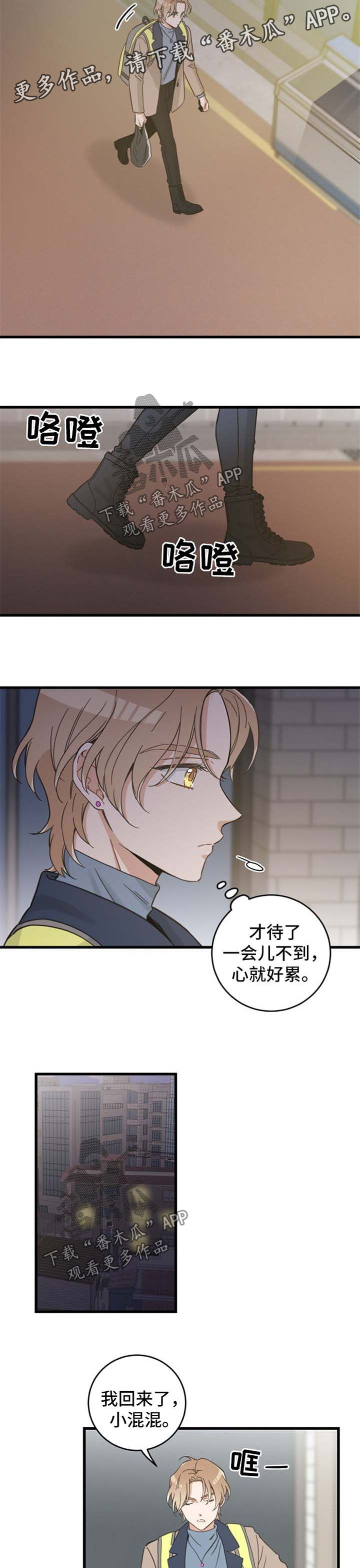 亲爱的喵君漫画,第74章：安心3图
