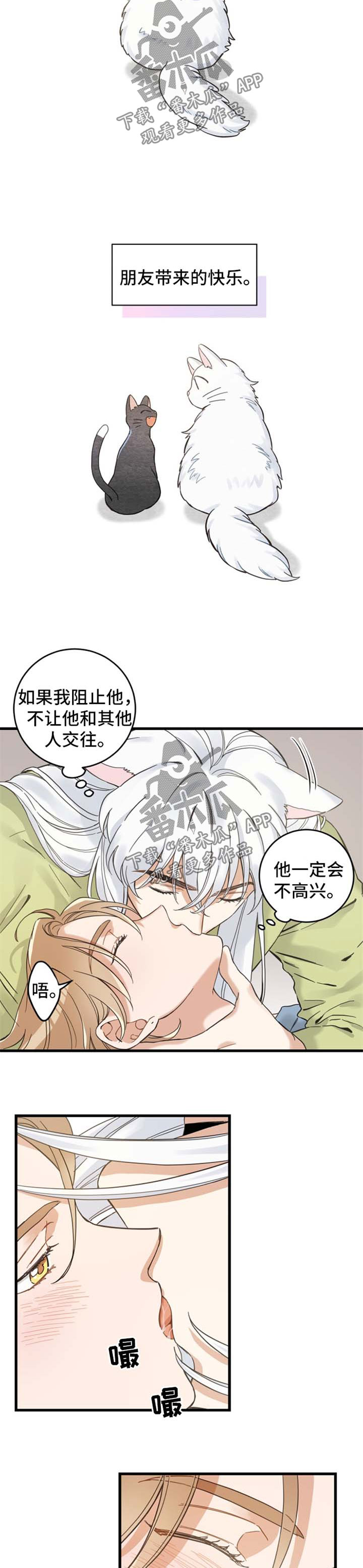 亲爱的喵君漫画,第77章：朋友2图