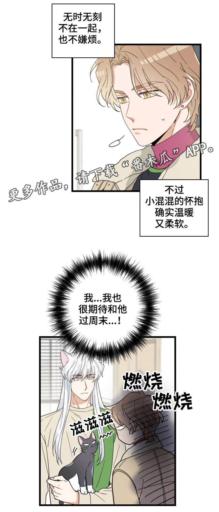 亲爱的喵君漫画,第40章：决心3图