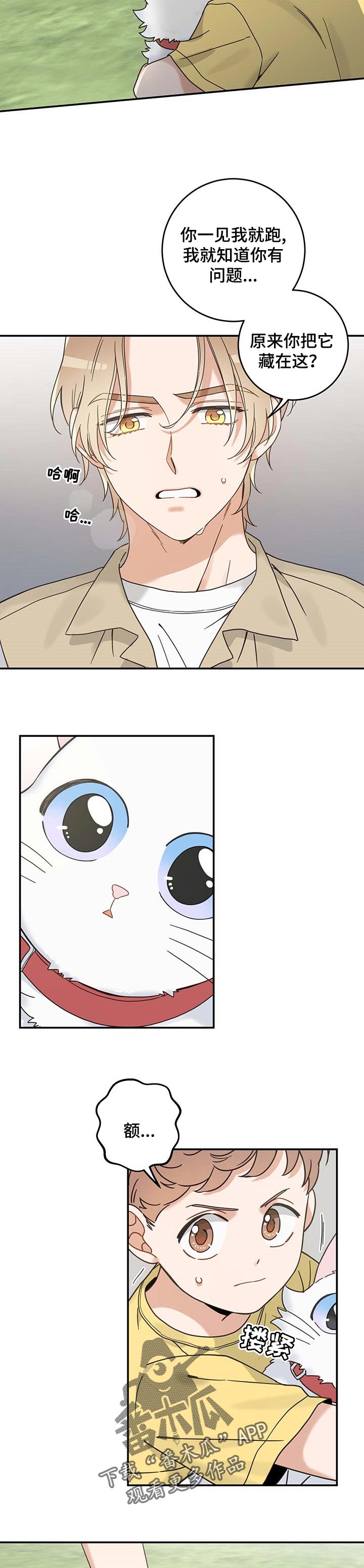 亲爱的喵君漫画,第110章：找到了3图