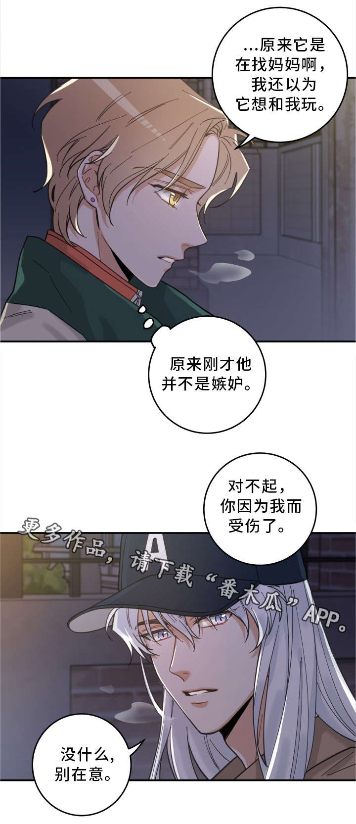 亲爱的喵君漫画,第15章：抓伤5图