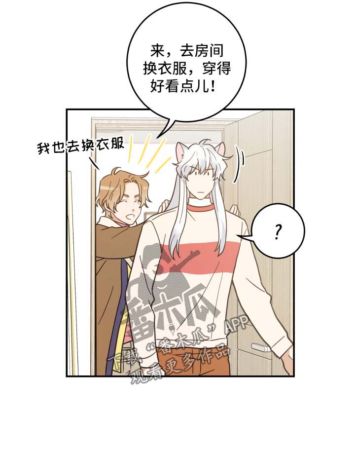 亲爱的喵君漫画,第48章：两人约会4图