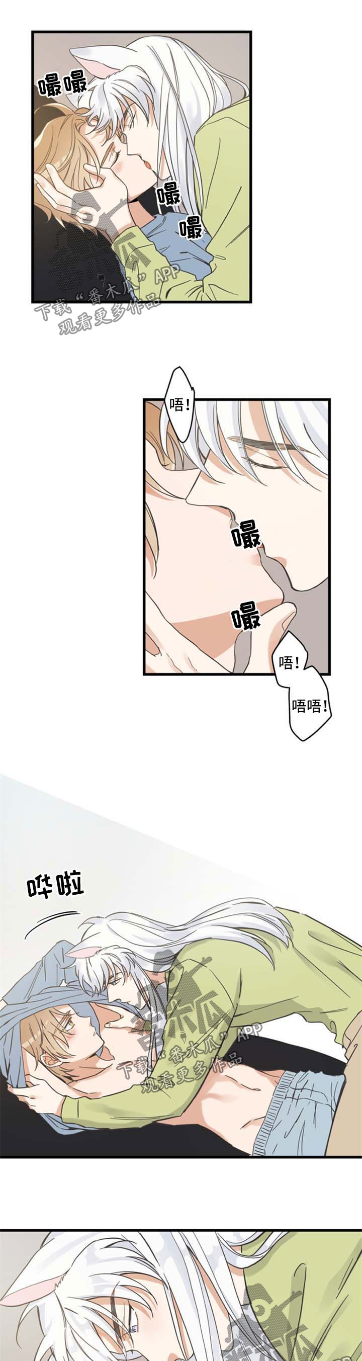 亲爱的喵君漫画,第78章：做你想做的1图