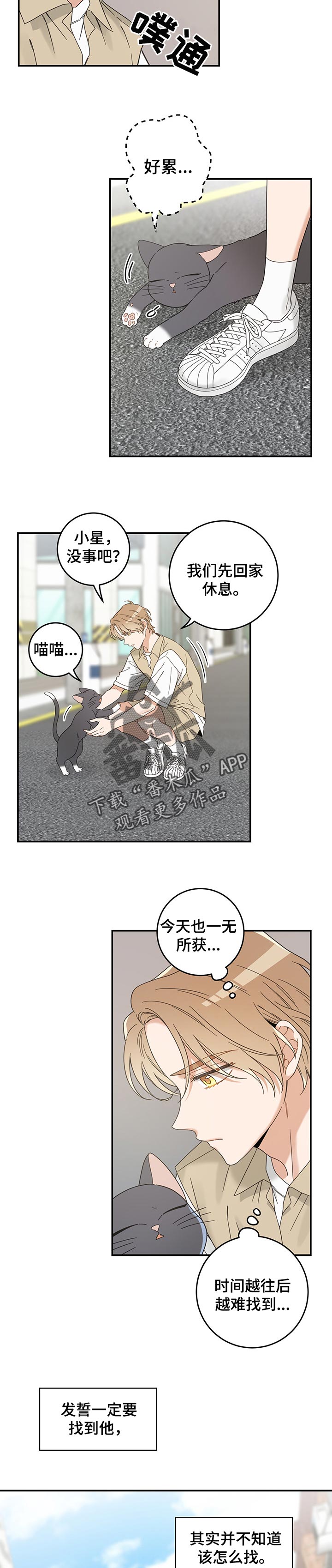 亲爱的喵君漫画,第108章：有事要说2图