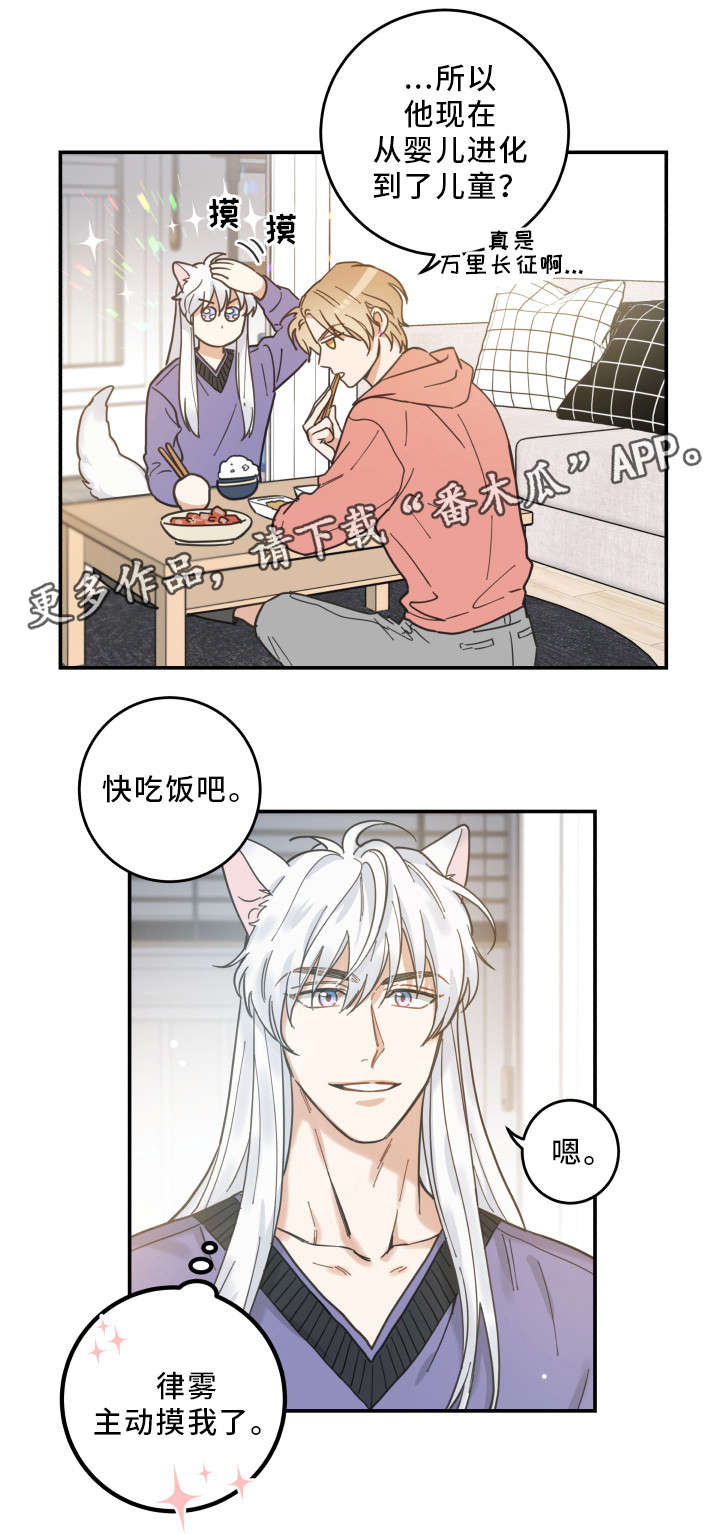 亲爱的喵君漫画,第12章：无事发生1图