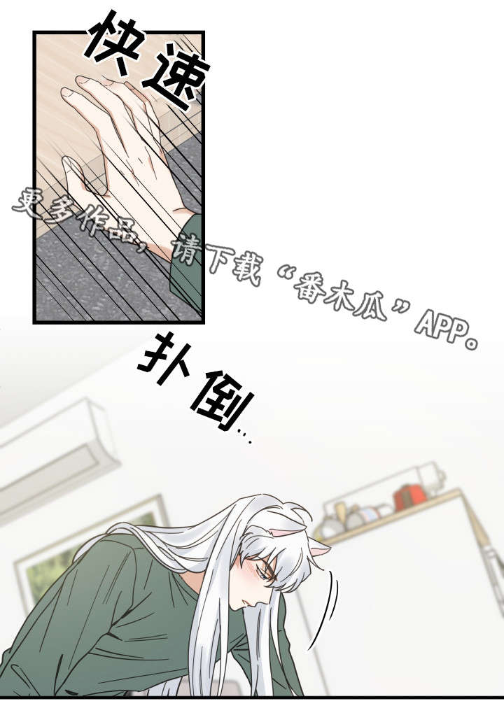 亲爱的喵君漫画,第29章：不能浪费4图