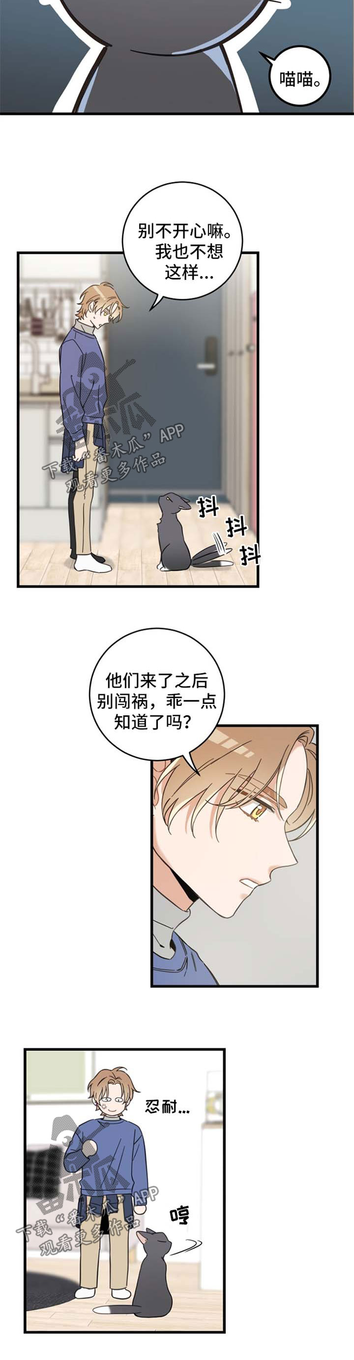亲爱的喵君漫画,第81章：做客2图