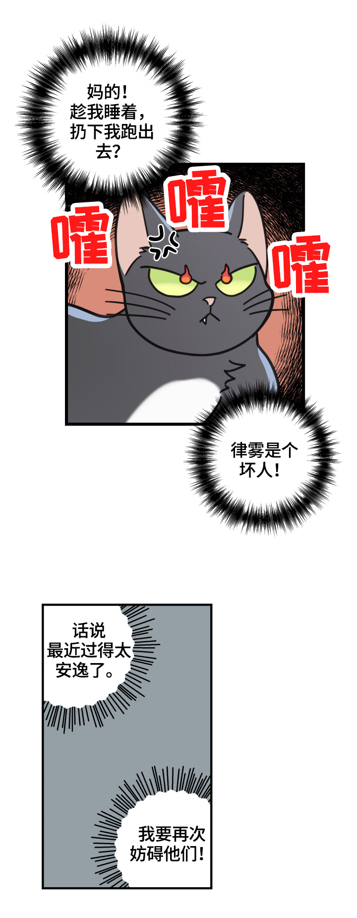 亲爱的喵君漫画,第52章：办法4图