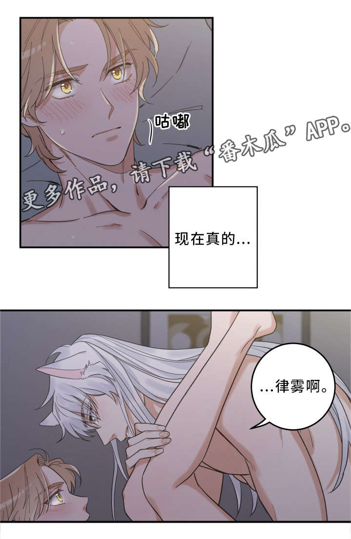 亲爱的喵君漫画,第20章：感觉好吗5图