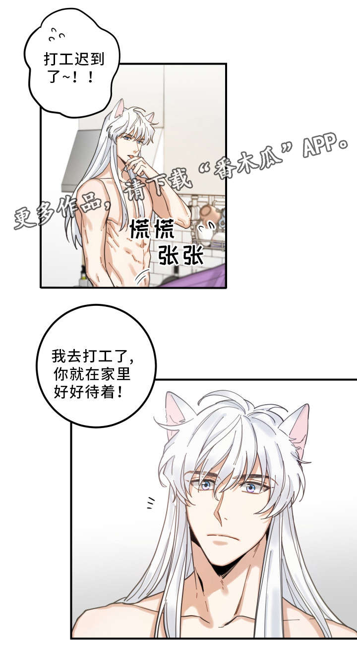 亲爱的喵君漫画,第6章：猫呢1图