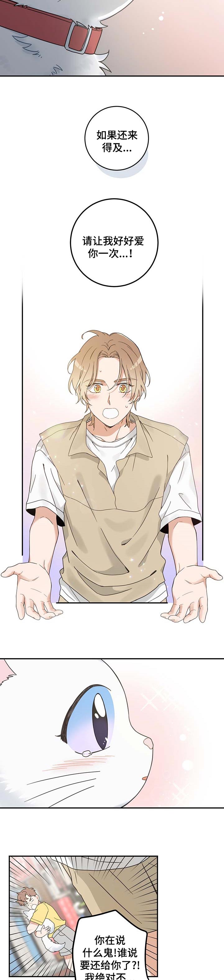 亲爱的喵君漫画,第111章：重逢2图