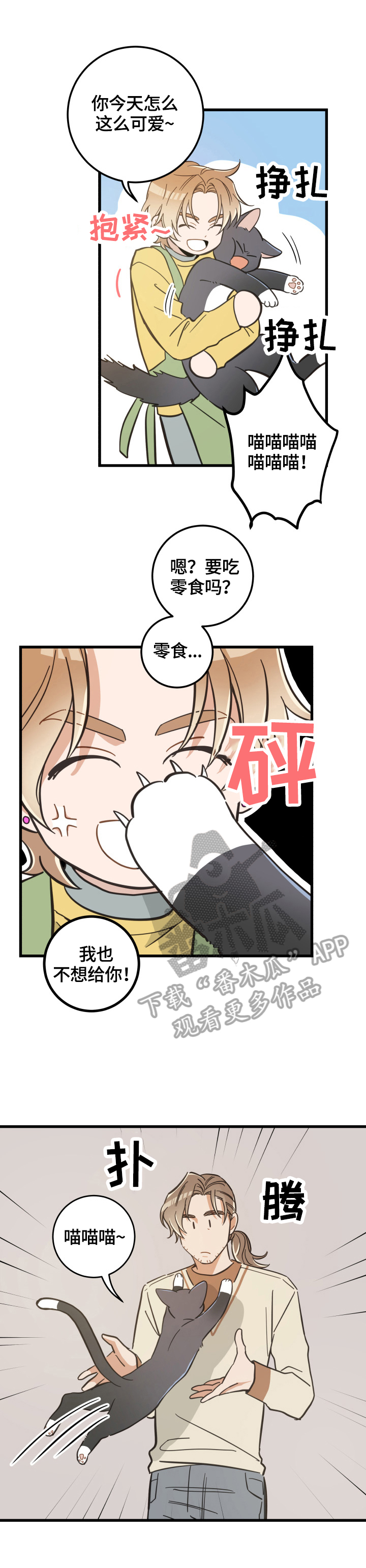 亲爱的喵君漫画,第69章：送伞4图