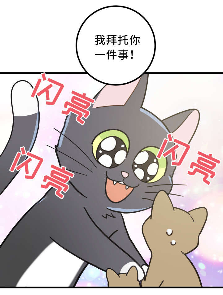 亲爱的喵君漫画,第32章：晕倒5图
