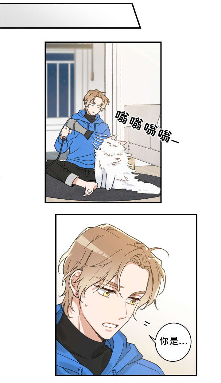 亲爱的喵君漫画,第2章：白猫1图