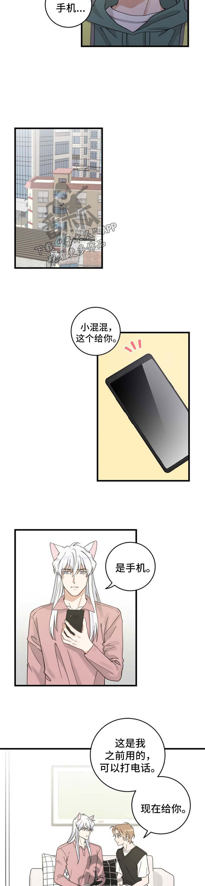 亲爱的喵君漫画,第90章：像梦一样3图