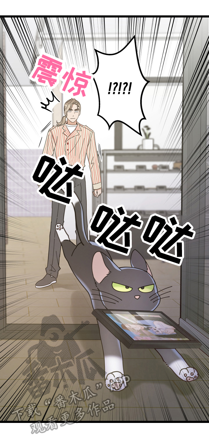 亲爱的喵君漫画,第57章：引出1图