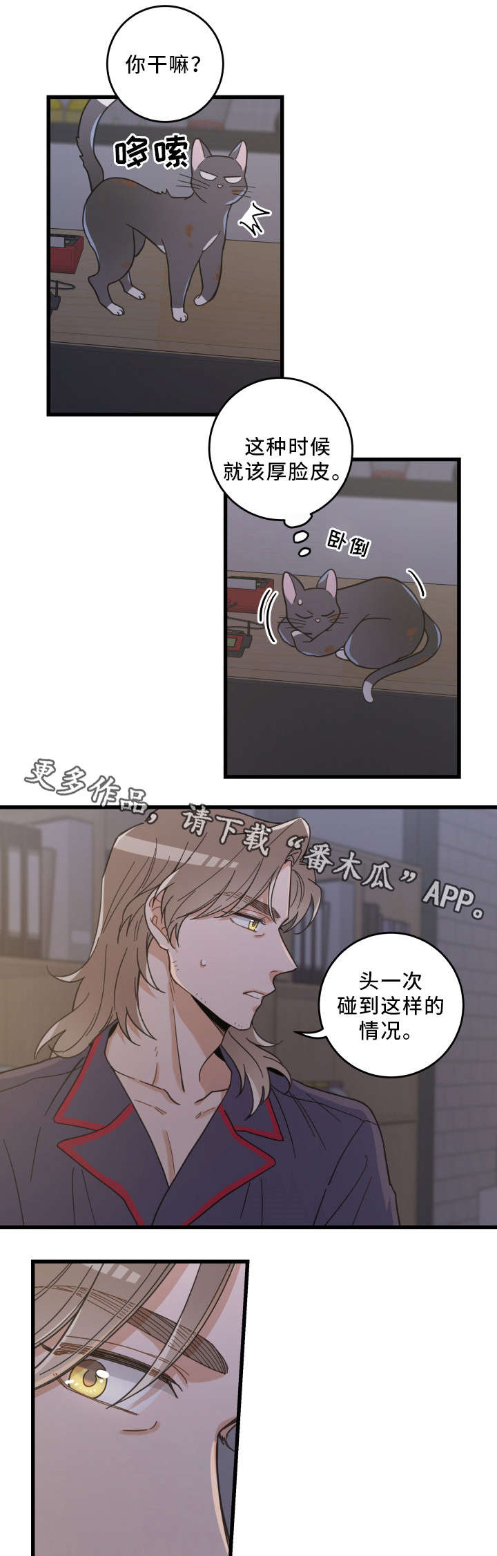 亲爱的喵君漫画,第35章：盯4图
