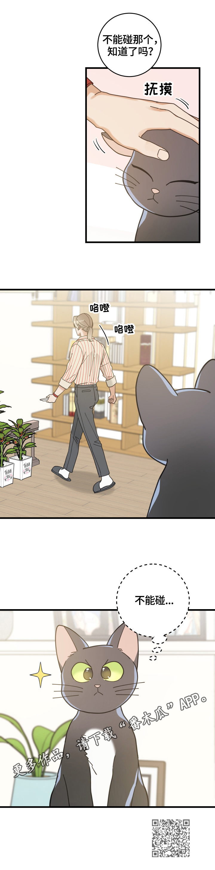 亲爱的喵君漫画,第56章：不能碰的东西4图