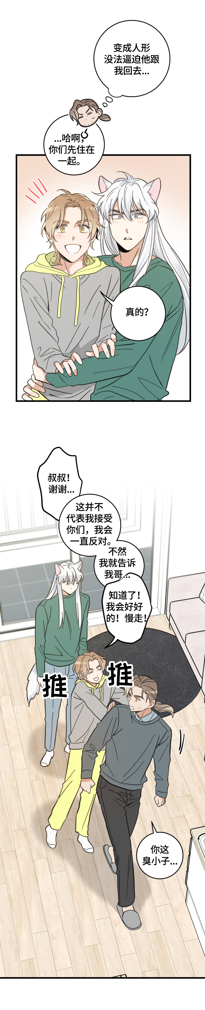 亲爱的喵君漫画,第67章：同意1图