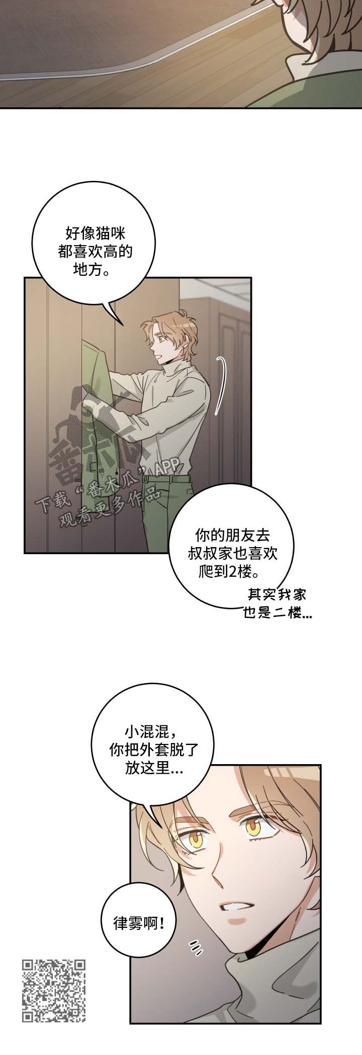 亲爱的喵君漫画,第49章：酒店4图