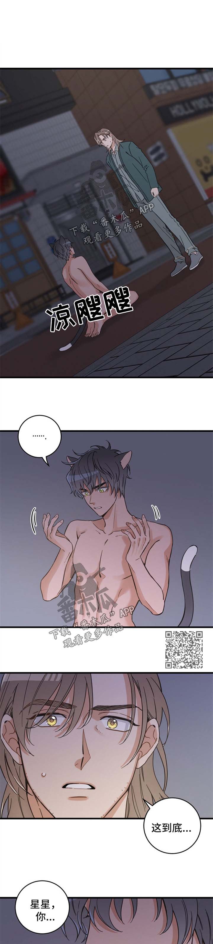 亲爱的喵君漫画,第84章：变人3图