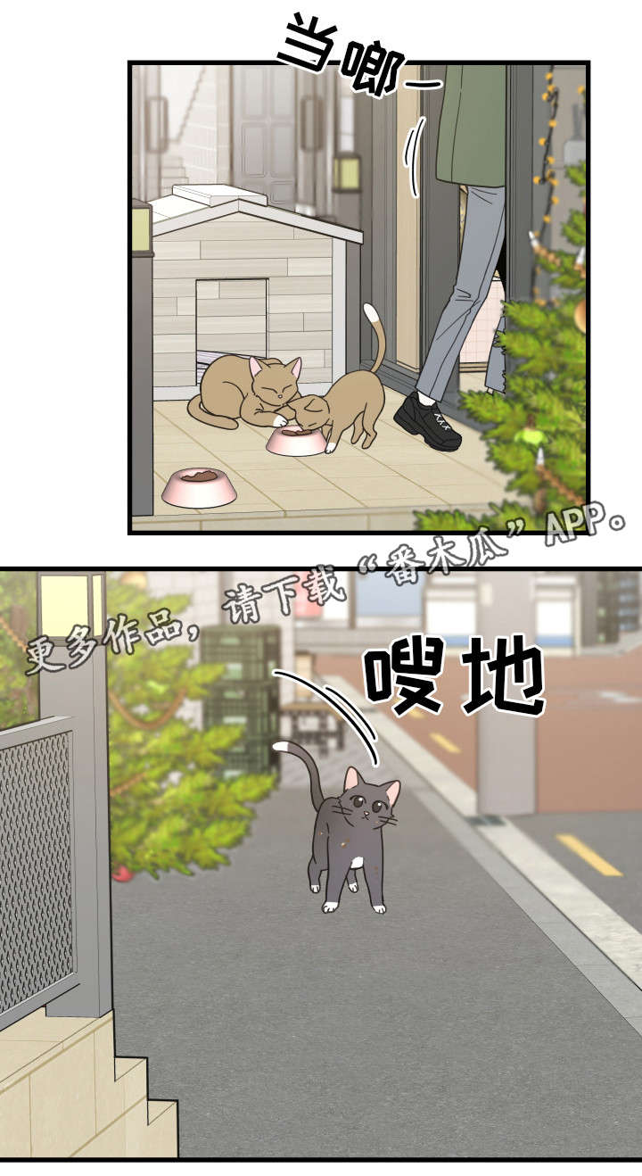 亲爱的喵君漫画,第31章：黑猫2图