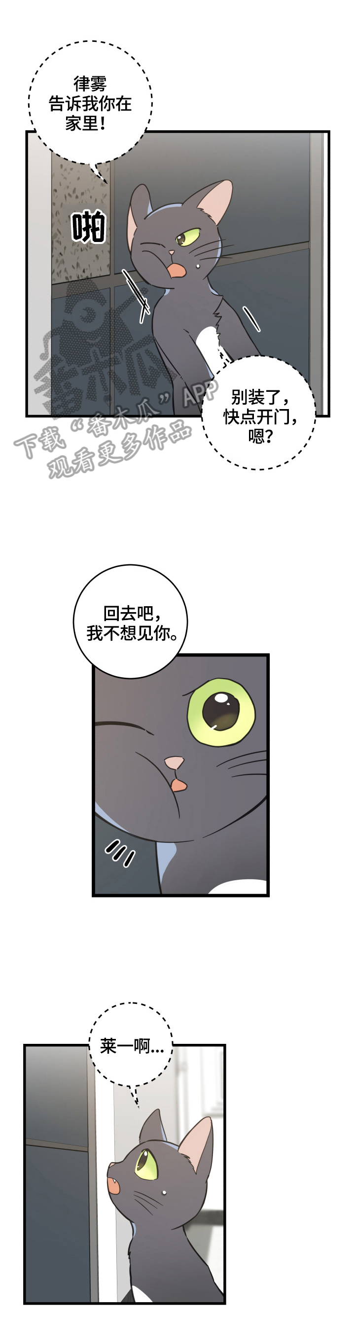亲爱的喵君漫画,第70章：安慰5图