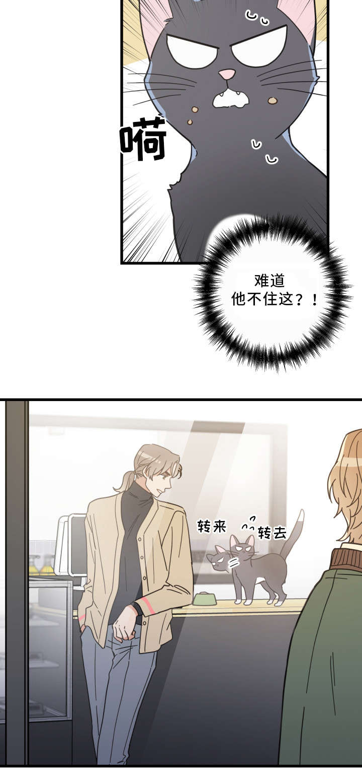 亲爱的喵君漫画,第33章：好想你2图