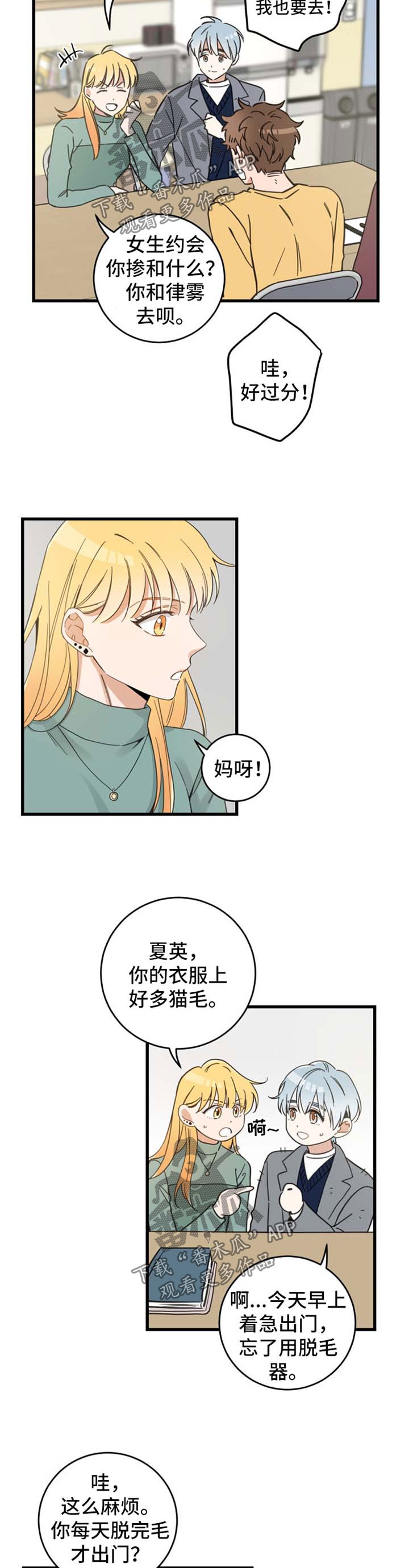 亲爱的喵君漫画,第80章：宠物心得4图