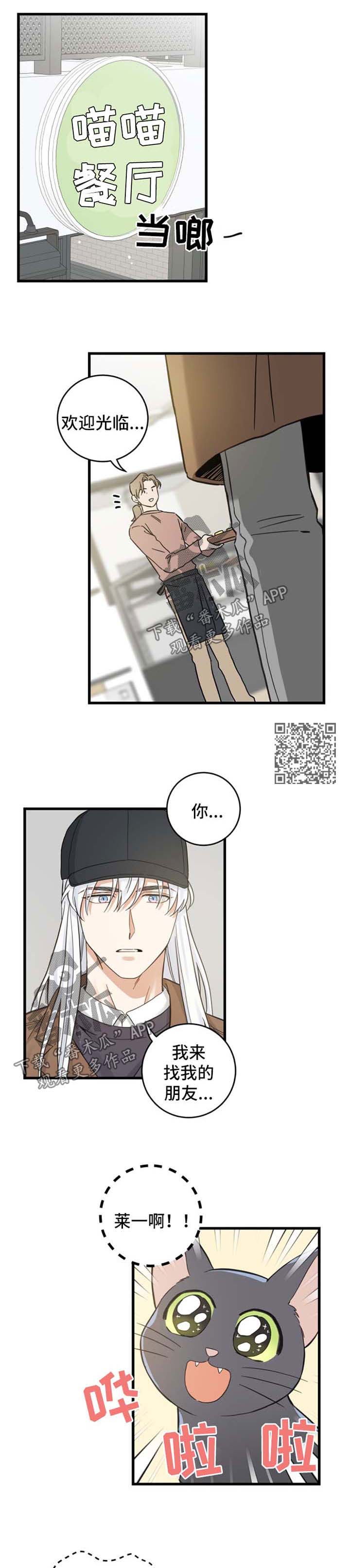 亲爱的喵君漫画,第79章：串门3图