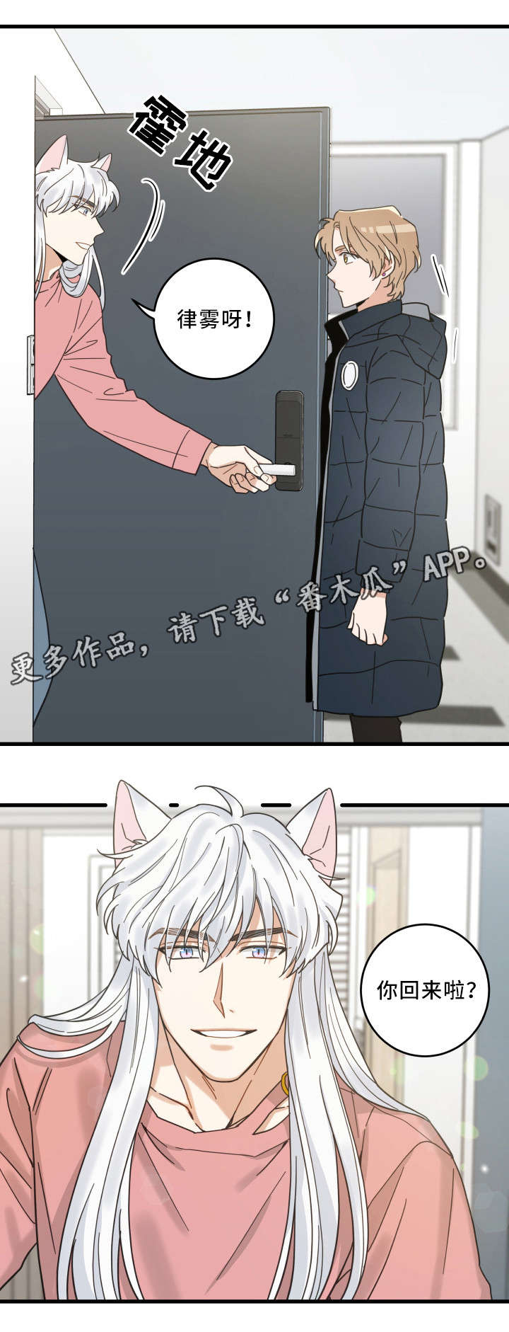 亲爱的喵君漫画,第36章：跟踪2图