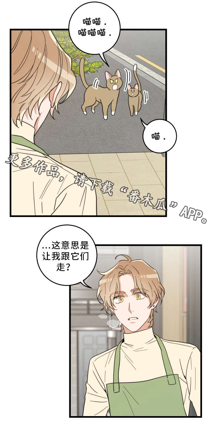 亲爱的喵君漫画,第32章：晕倒4图