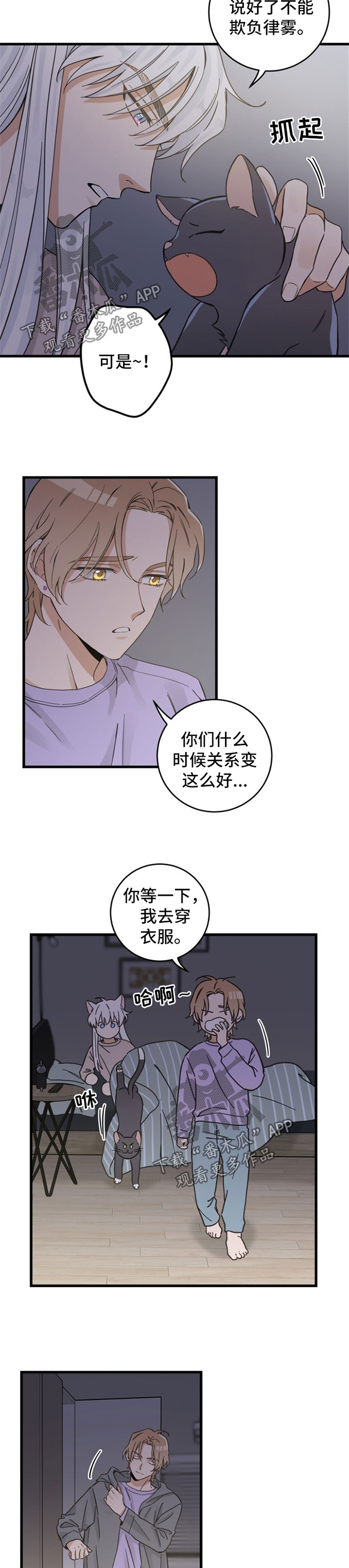 亲爱的喵君漫画,第82章：想要回家4图