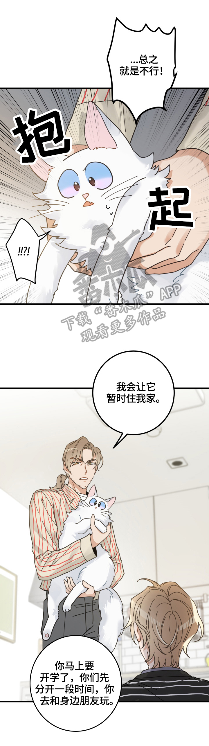 亲爱的喵君漫画,第59章：不同意1图