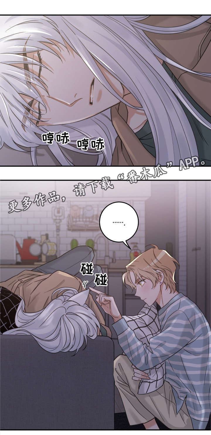 亲爱的喵君漫画,第17章：无法拒绝3图