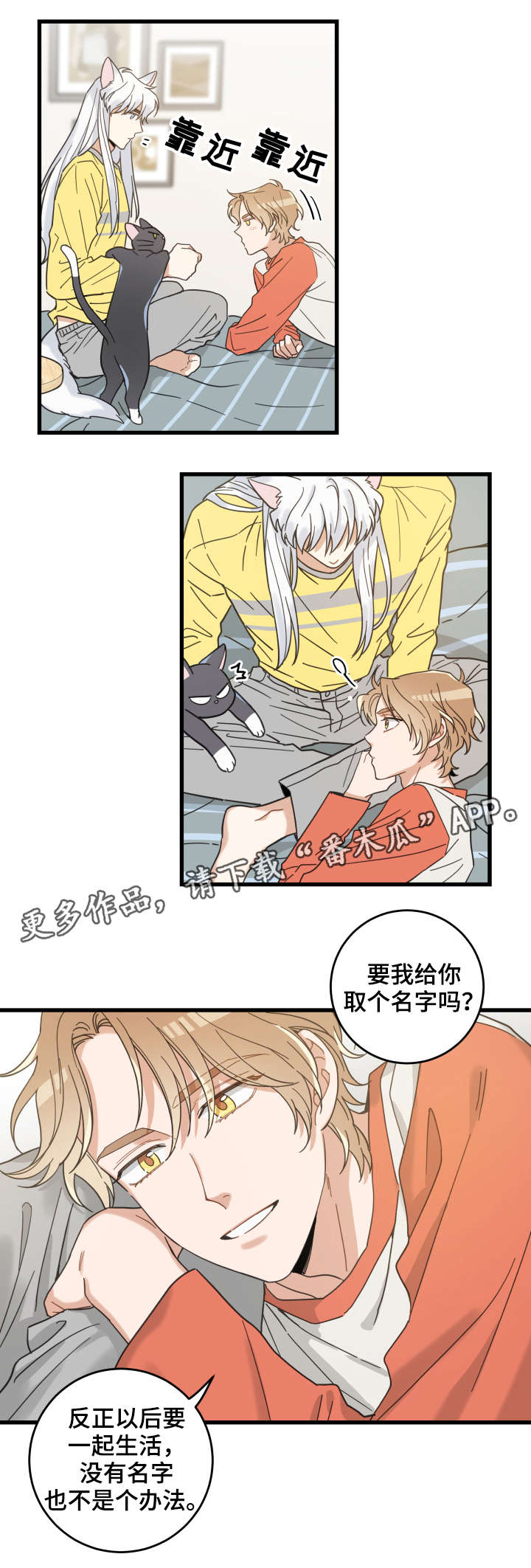 亲爱的喵君漫画,第42章：臭猫4图