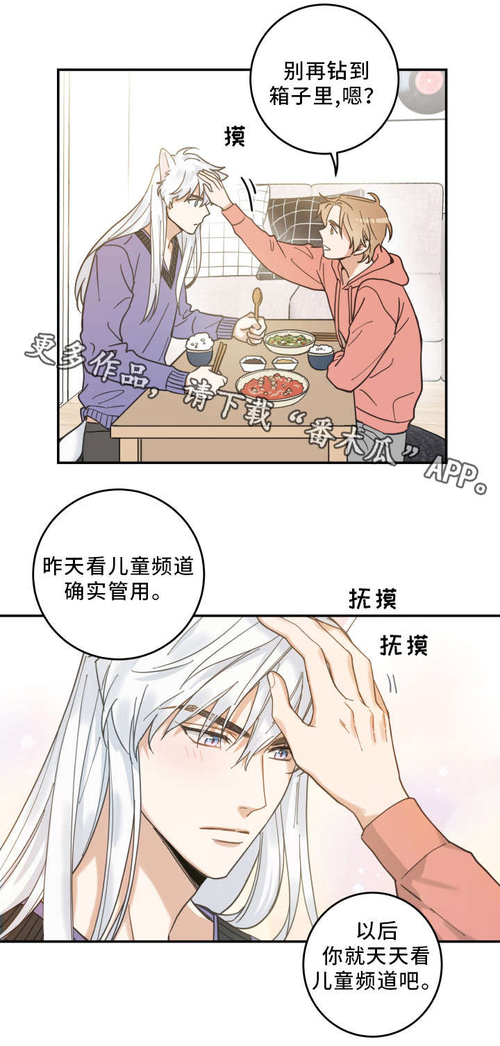 亲爱的喵君漫画,第11章：钻箱子5图