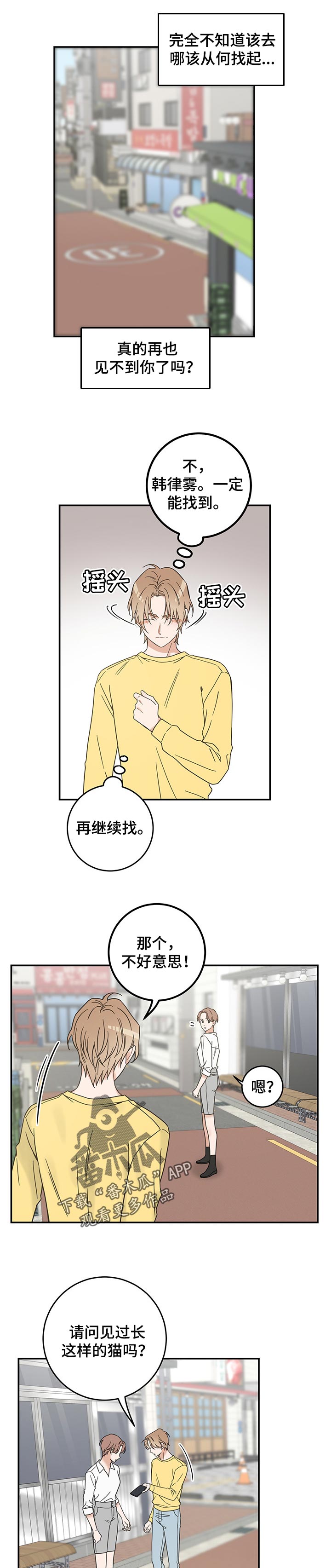 亲爱的喵君漫画,第106章：寻找1图
