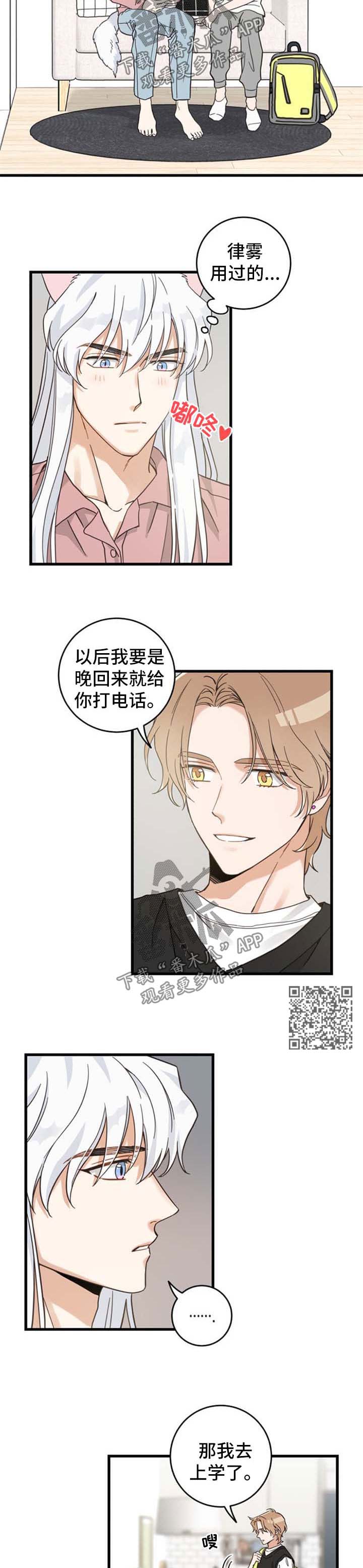 亲爱的喵君漫画,第90章：像梦一样4图