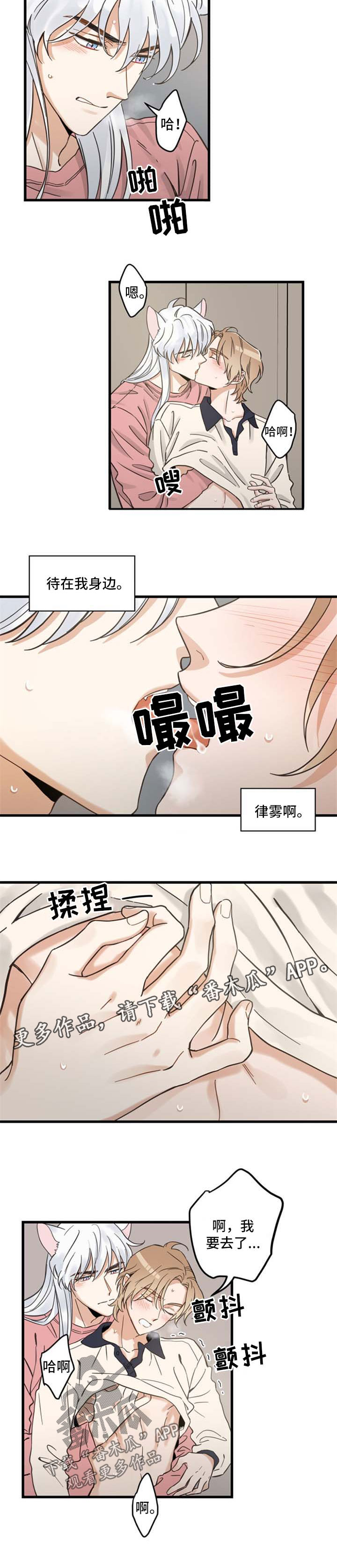 亲爱的喵君漫画,第89章：闹别扭5图