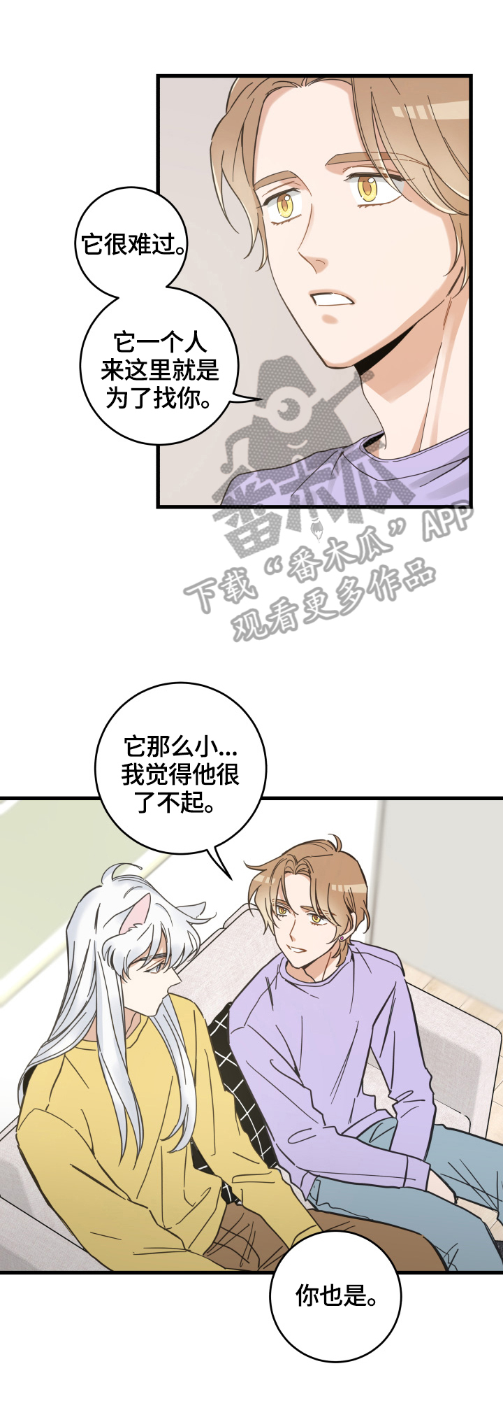 亲爱的喵君漫画,第71章：原谅3图