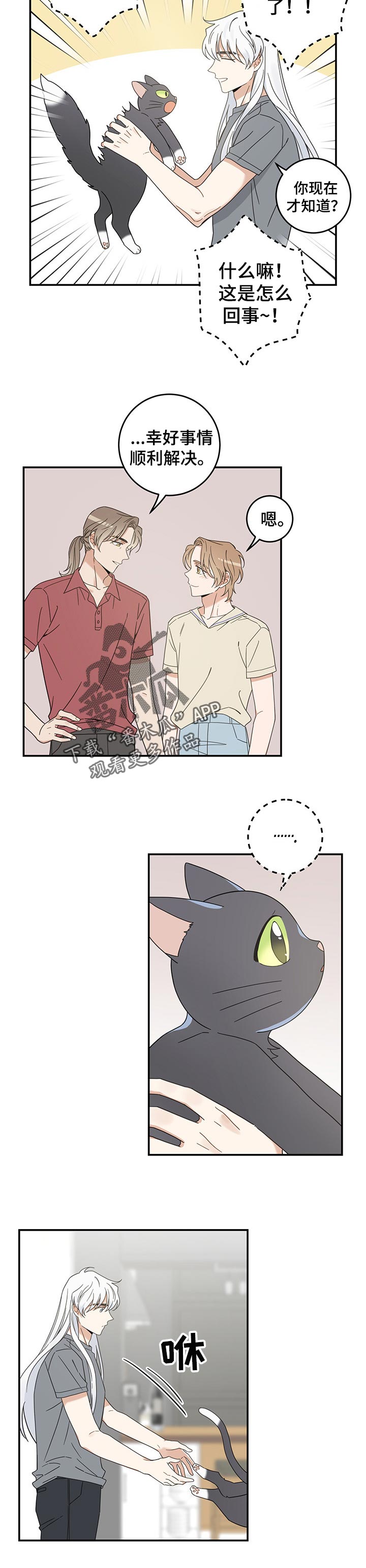 亲爱的喵君漫画,第116章：静待观察5图