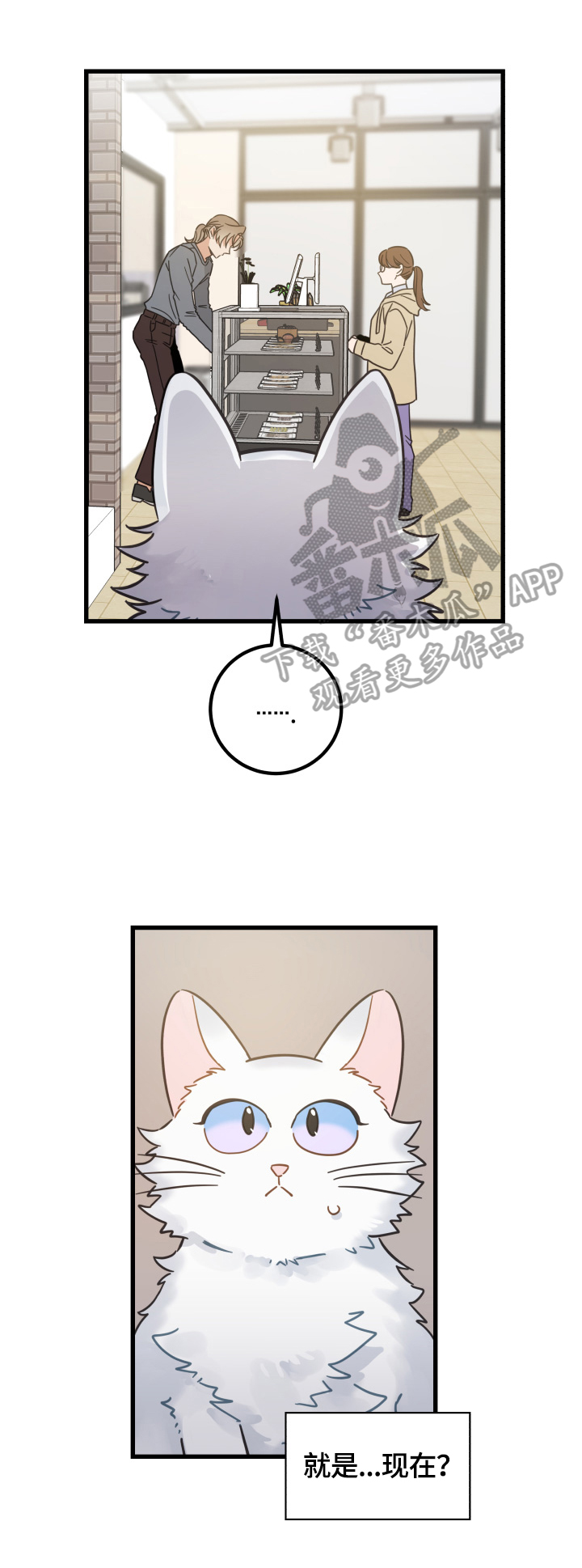 亲爱的喵君漫画,第64章：逃走4图