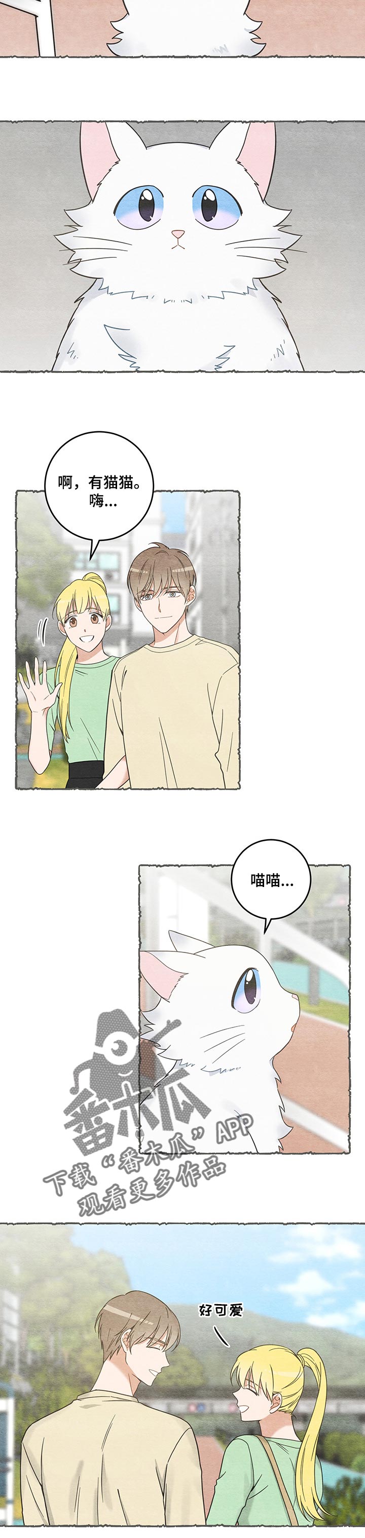 亲爱的喵君漫画,第104章：失踪了4图