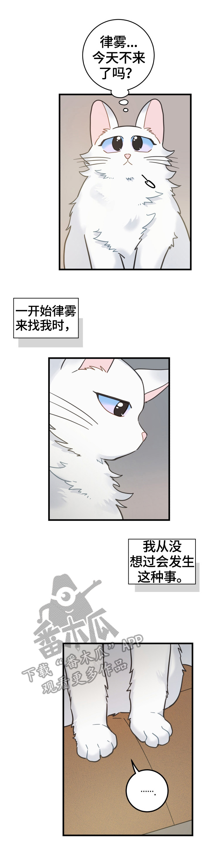 亲爱的喵君漫画,第63章：思念5图