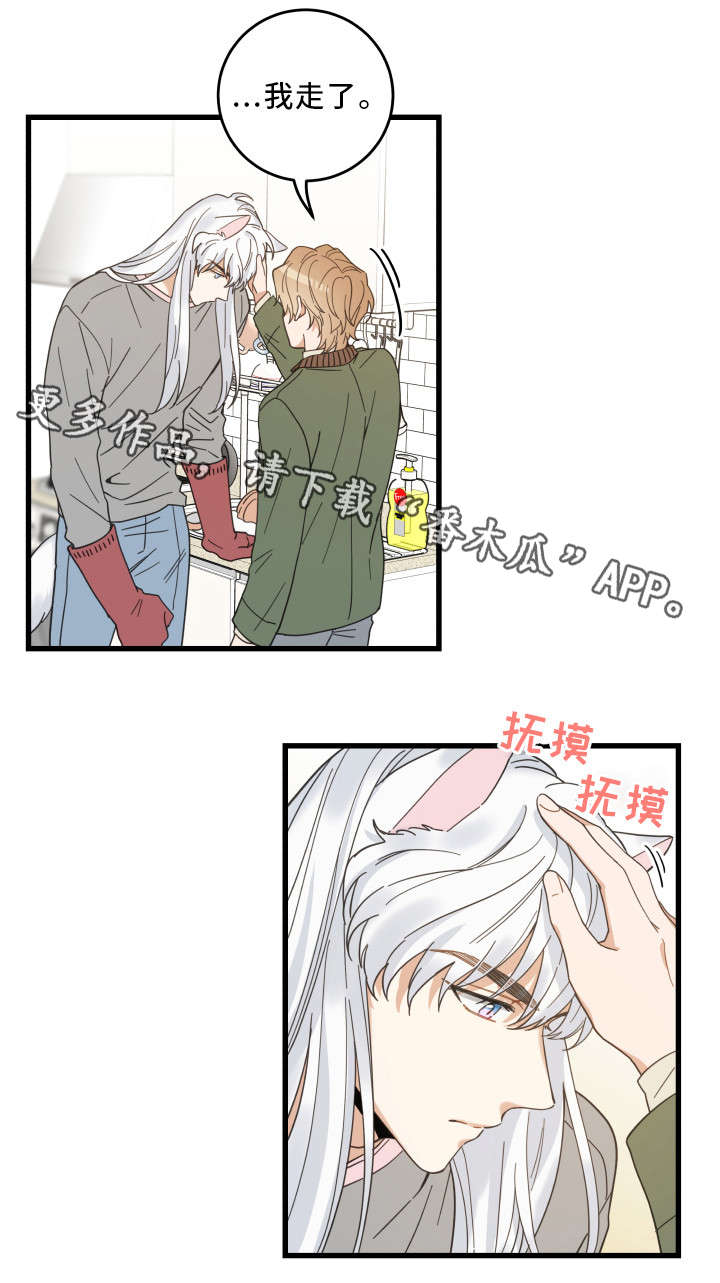 亲爱的喵君漫画,第31章：黑猫1图