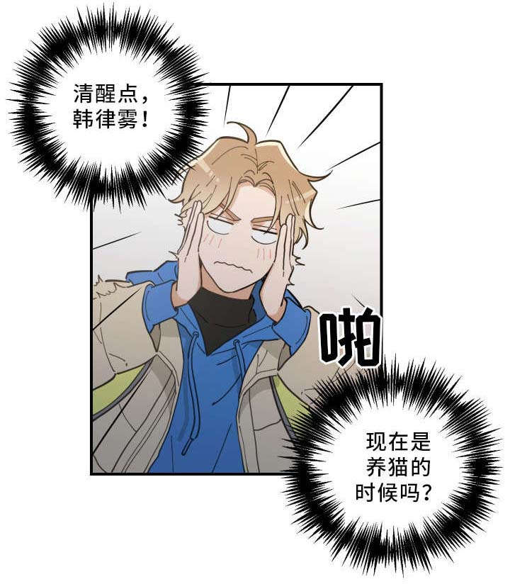 亲爱的喵君漫画,第2章：白猫2图