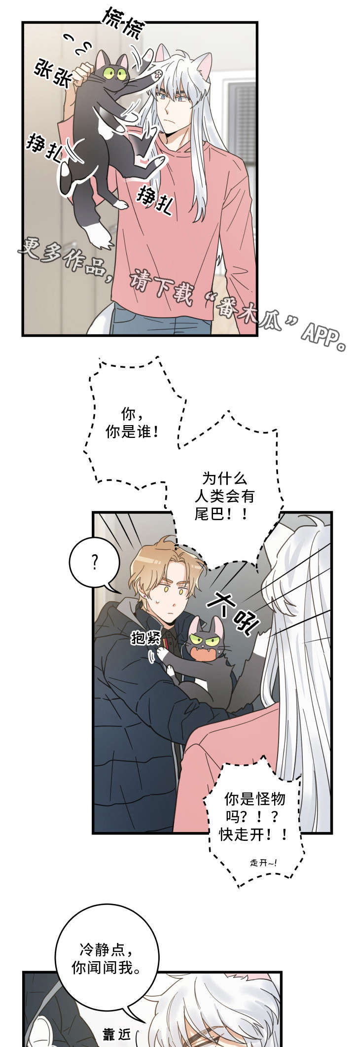 亲爱的喵君漫画,第36章：跟踪5图