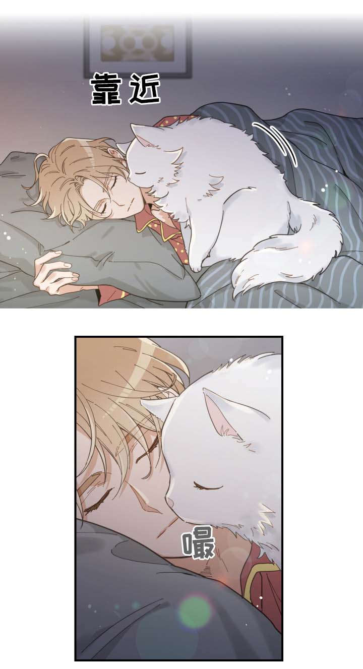 亲爱的喵君漫画,第2章：白猫3图