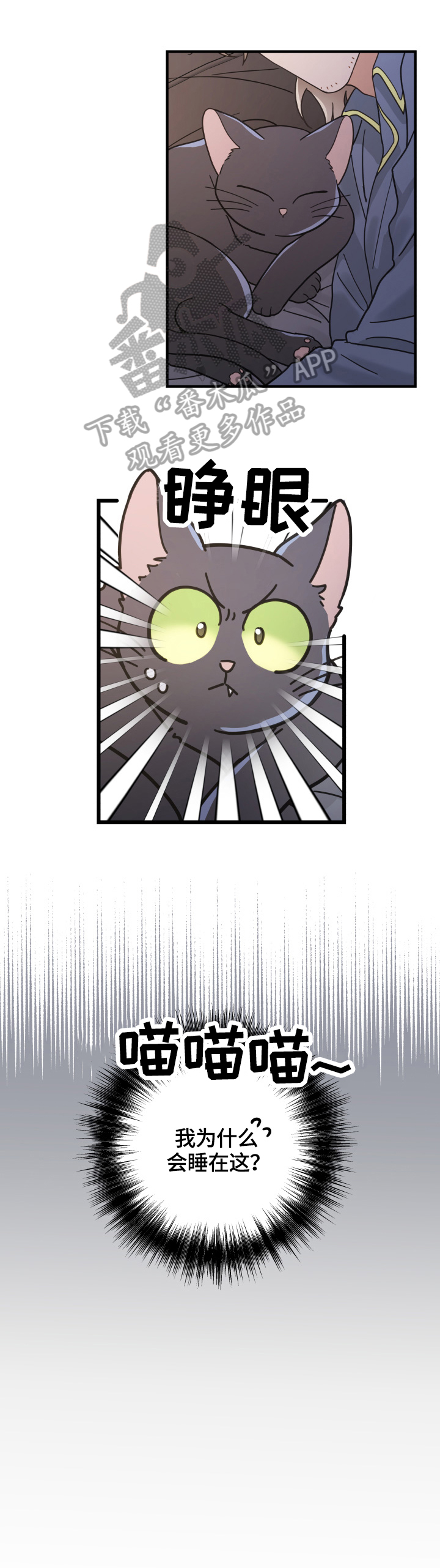 亲爱的喵君漫画,第51章：睡醒3图
